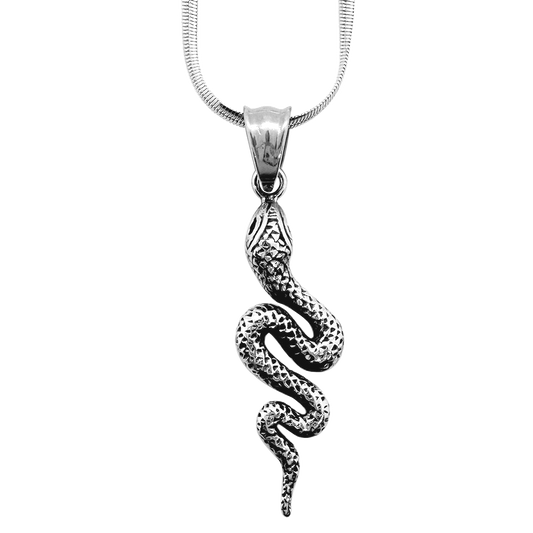 Snake Pendant with Chain